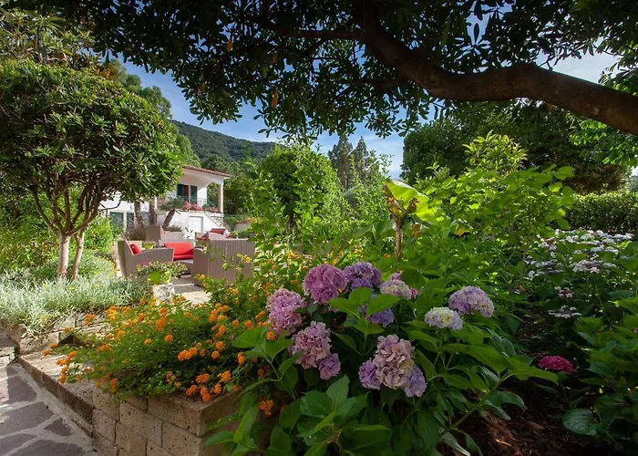 Boutique Hotel Ilio