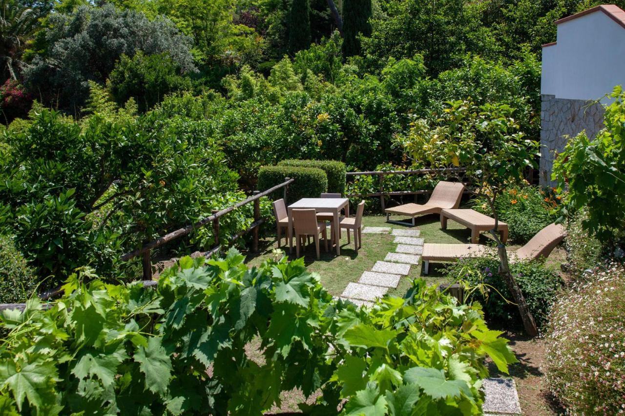 Boutique Ilio 3*