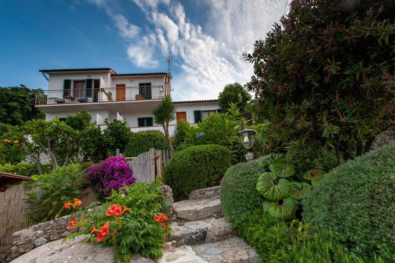 Boutique Ilio